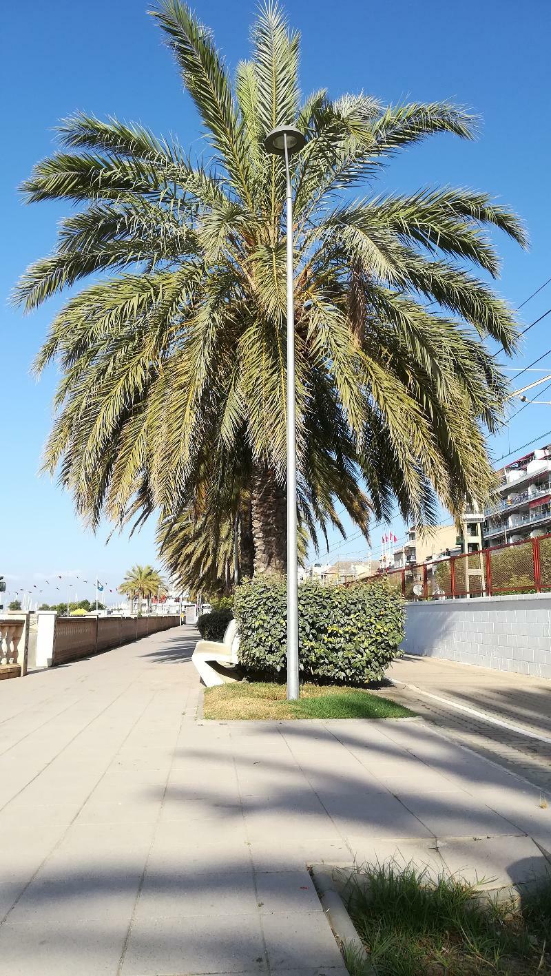 Terrassa De Mar Apartment Masnou Exteriör bild